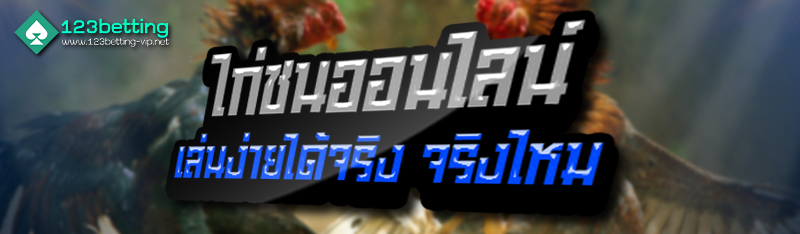 ไก่ชนออนไลน์เล่นง่ายได้จริง จริงไหม