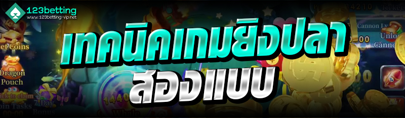 เทคนิคเกมยิงปลาสองแบบ